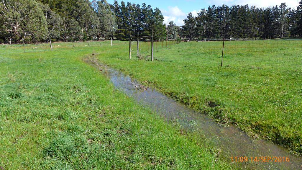 Helen'S Homestead Enfield المظهر الخارجي الصورة