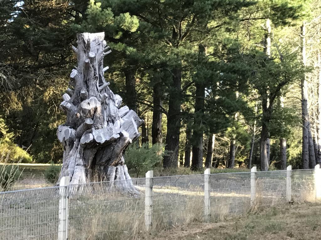 Helen'S Homestead Enfield المظهر الخارجي الصورة