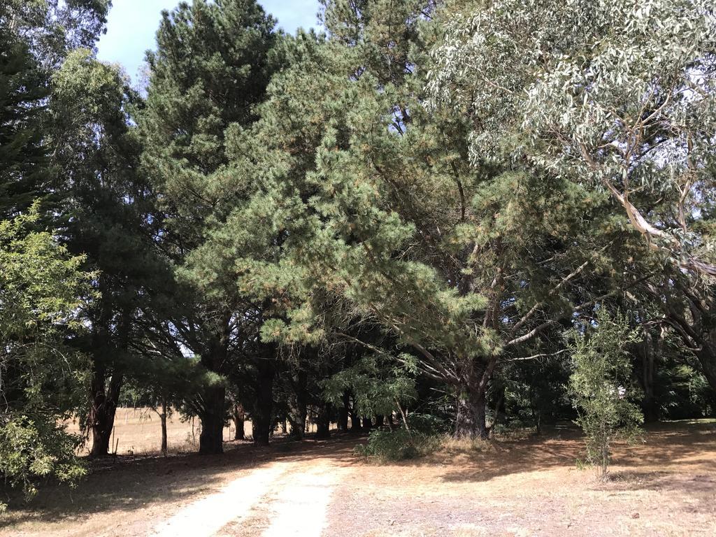 Helen'S Homestead Enfield المظهر الخارجي الصورة