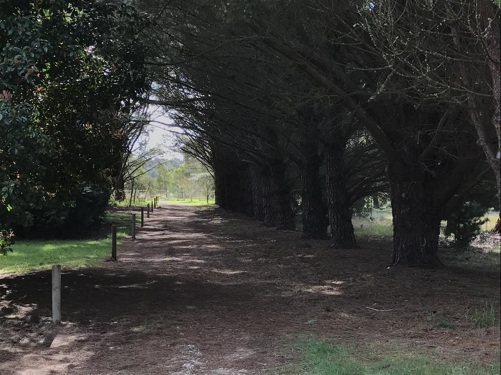 Helen'S Homestead Enfield المظهر الخارجي الصورة