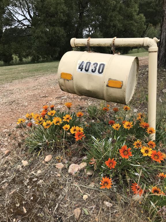 Helen'S Homestead Enfield المظهر الخارجي الصورة