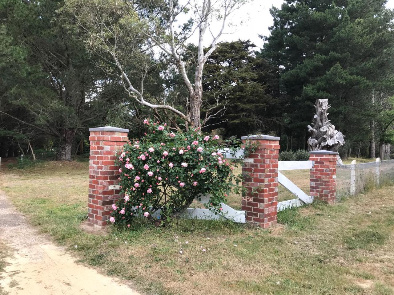 Helen'S Homestead Enfield المظهر الخارجي الصورة